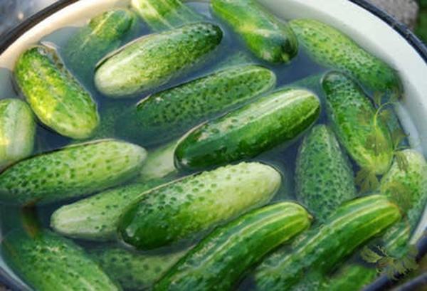 cucumber recipe with vodka