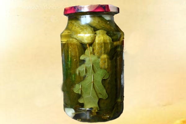 cucumbers with oak leaves