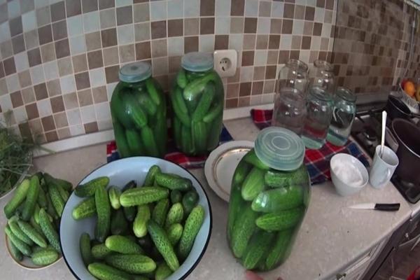 Everything for cold pickling of cucumbers