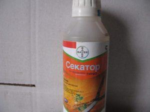 Instructions for the use of the herbicide Secator Turbo, description of the drug and dosage