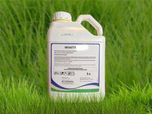 Instructions for use of the fungicide Impact and consumption rates