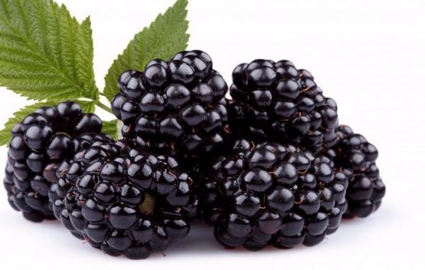 black raspberry