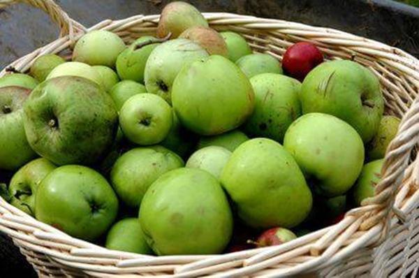 Manzanas verdes