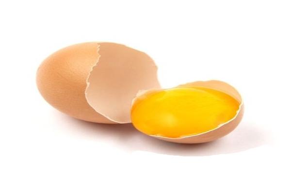 Yolk