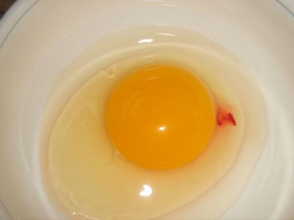 blood in the yolk of a chicken egg