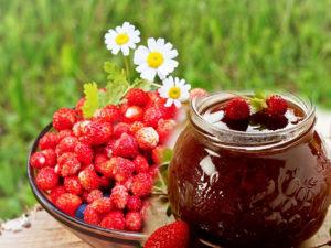 14 best recipes for preparing wild strawberries for the winter