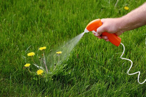 herbicide sur place