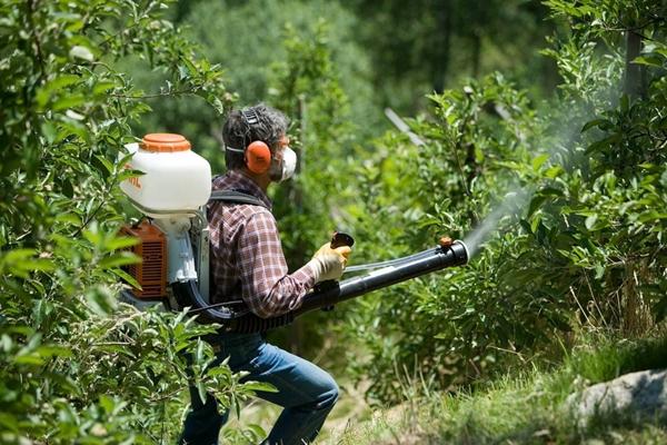 Travailler avec des fongicides