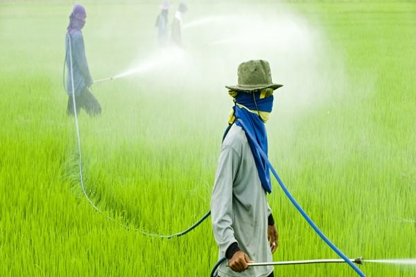 travailler avec des herbicides sur le terrain