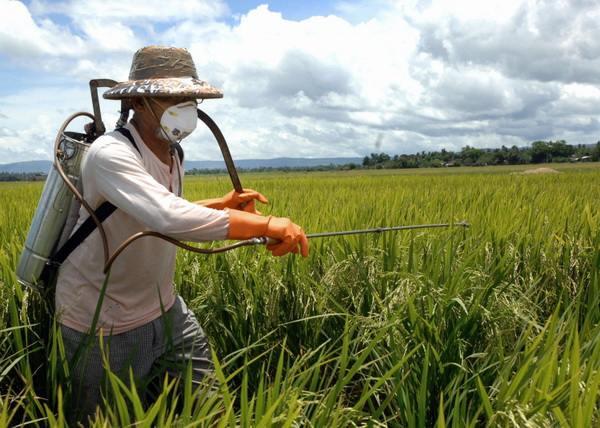 Working with herbicide in the field