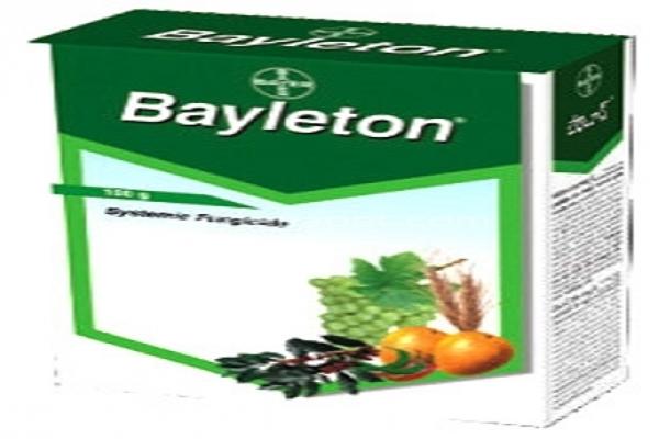 Embalaje Bayleton