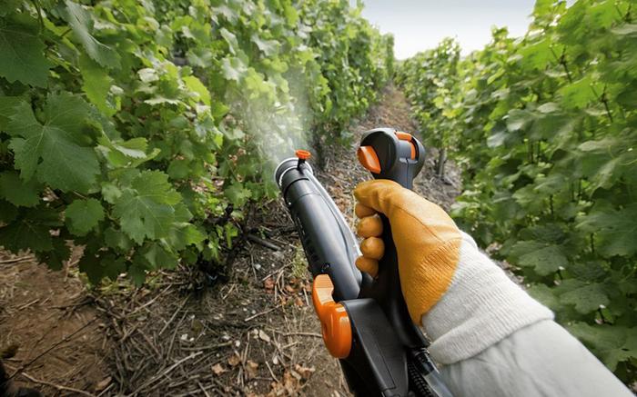 Anwendung des Fungizids aus der ersten Person