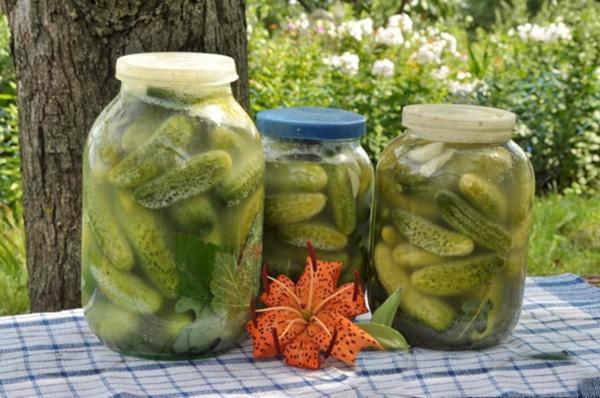 Salting cucumbers with cold water