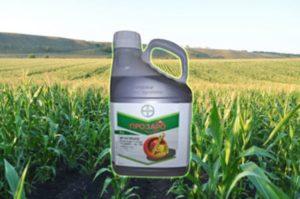 Instructions for use of the fungicide Prozaro and consumption rate