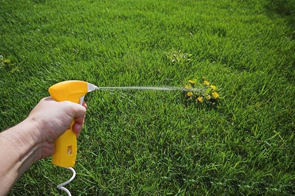 How to apply herbicides correctly