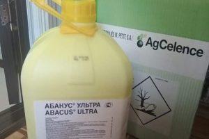 Instructions for the use of fungicide Abacus Ultra and mechanism of action