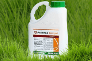 Instructions for the use of fungicide Amistar Extra and method of preparation of the solution