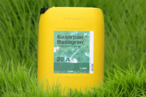 Instructions for the use of herbicide Basagran and the mechanism of action