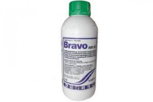 Instructions for the use of the fungicide Bravo, composition and release form of the product