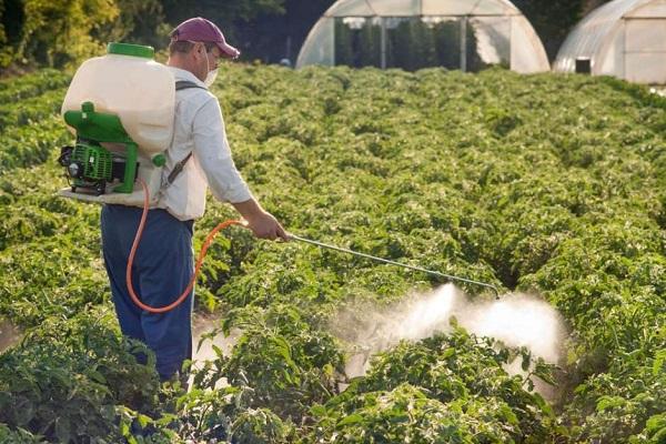 spray vegetables