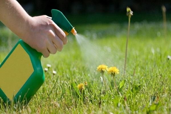 détruire les mauvaises herbes