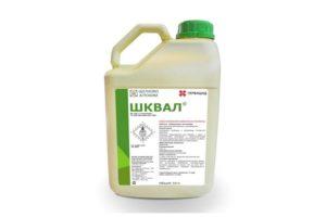 Instructions pour l'utilisation de l'herbicide Shkval et taux de consommation