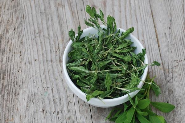 une assiette de légumes verts