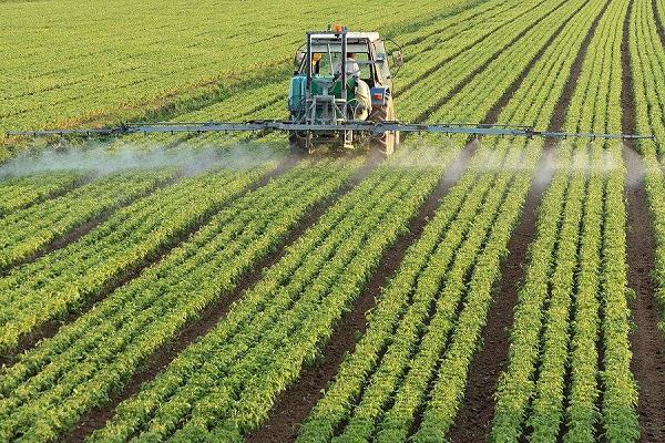 spraying in the field