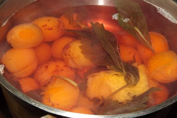 apricots with leaves