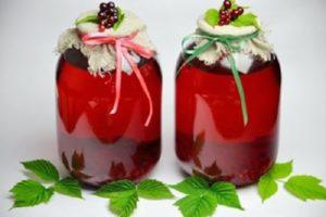 TOP 3 des recettes pour faire de la compote de groseille rouge et de menthe pour l'hiver