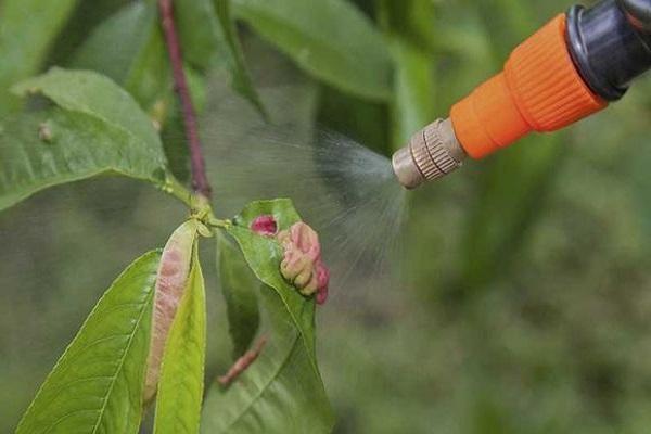 spray on the peach