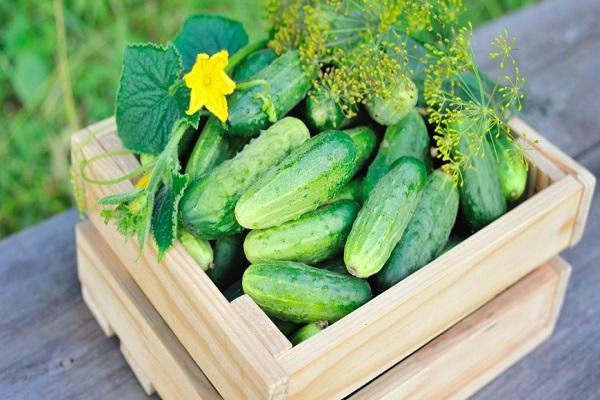 verduras en una caja