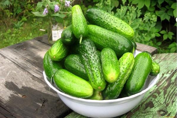 fresh cucumbers