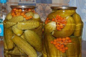 4 meilleures recettes de concombres de rowan en conserve pour l'hiver