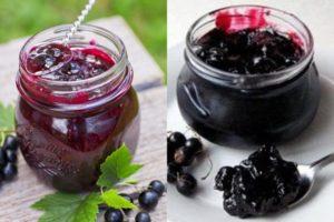 8 recettes pour faire du cassis, écrasé avec du sucre pour l'hiver