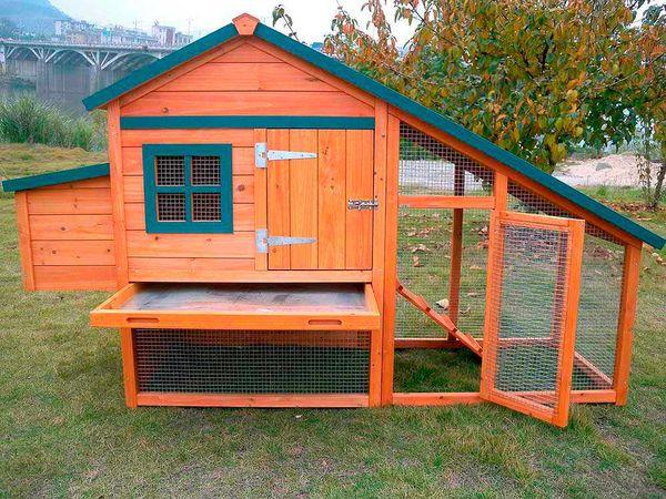 chicken coop in the yard