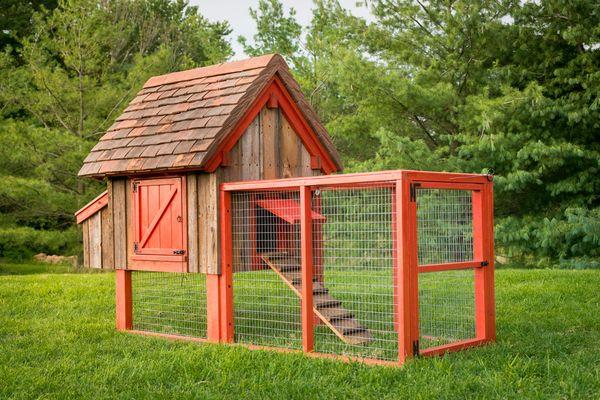 maison pour poulets