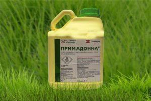 Instructions for the use of herbicide Primadonna