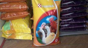 Rules for feeding Purina compound feed for broiler chickens