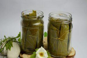 TOP 3 recipes for pickled cucumbers in spring water for the winter