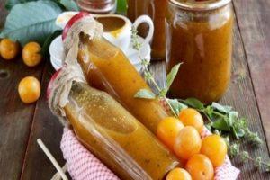 TOP 11 recetas para preparar espacios en blanco de salsa de ciruela para el invierno