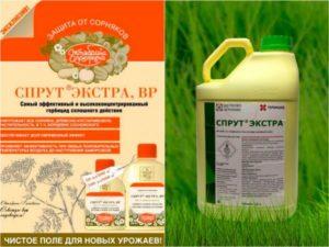 Method and instructions for the use of herbicide of continuous action Sprut Extra