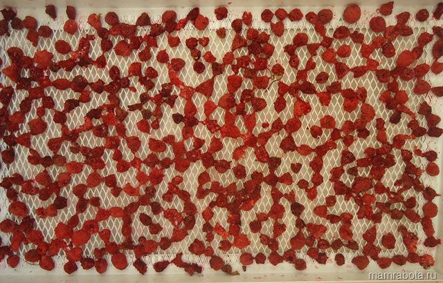 drying strawberries