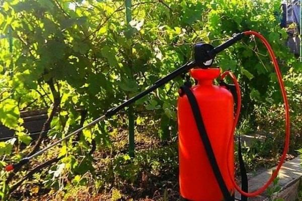 garden sprayer