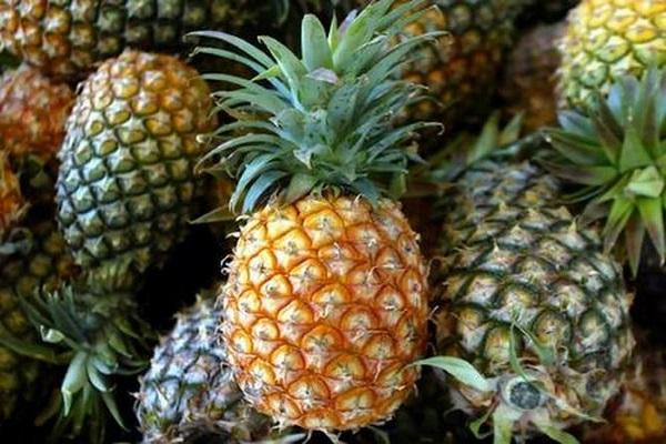 fresh pineapple