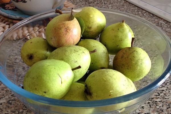 pears in a basin