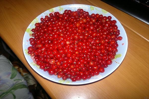 un plato de grosellas