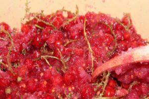 Step-by-step recipe for 5-minute redcurrant jam as jelly