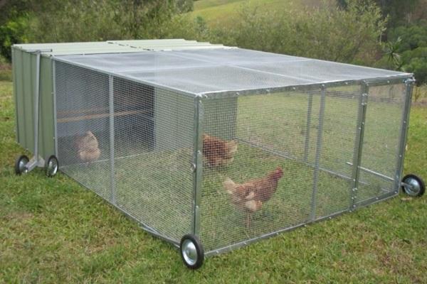 chicken pen