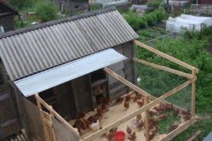 Instrucciones paso a paso para crear un corral para gallinas paseantes con sus propias manos.